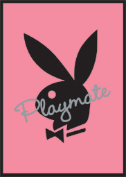 playboy_31.jpg